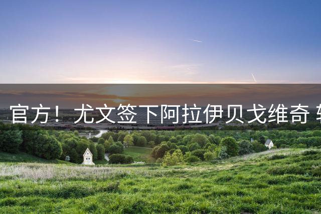 官方！尤文签下阿拉伊贝戈维奇 转会费可达3700万欧