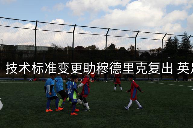技术标准变更助穆德里克复出 英足总公布兴奋剂案和解结果