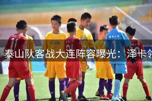 泰山队客战大连阵容曝光：泽卡领衔锋线 克雷桑意外替补待命