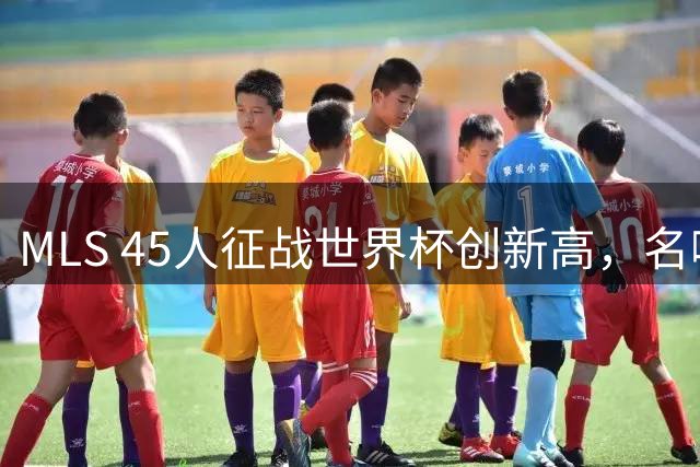 MLS 45人征战世界杯创新高，名嘴：它已成决赛最大赢家